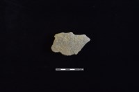 藏品(陶片)的圖片